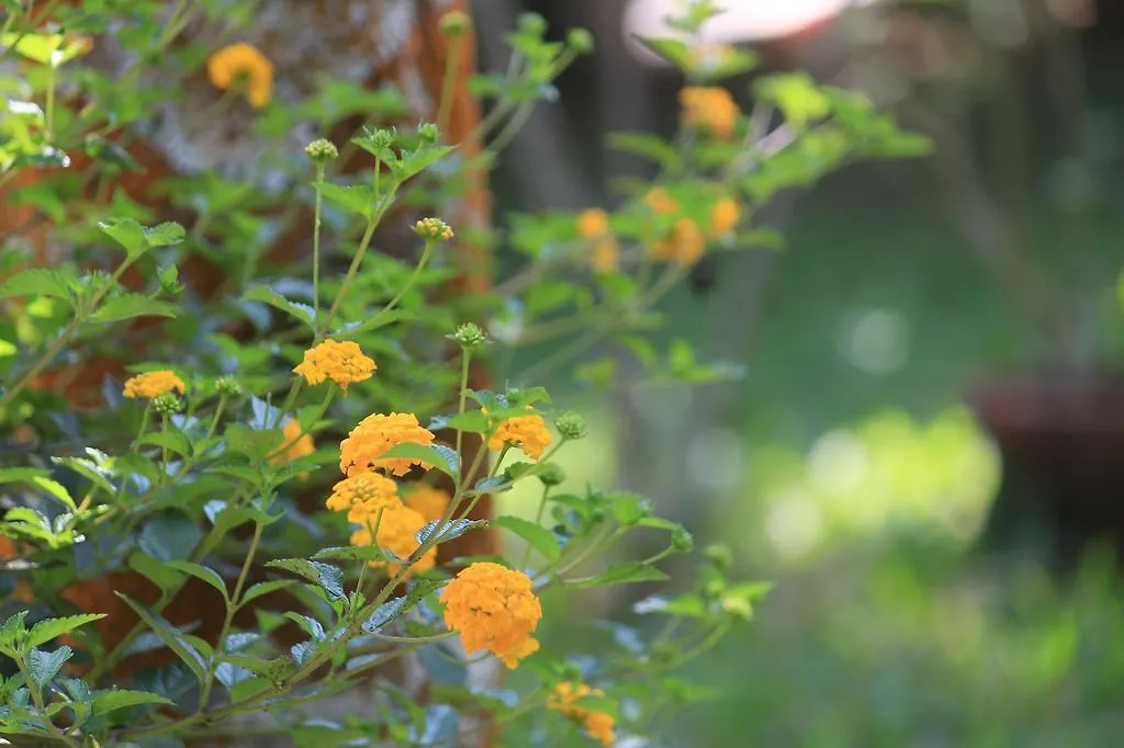 ** Alojamento de Acomodação e Pequeno-almoço Green Ark Resorts Thekkady Índia